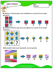 Zeka Gelişim Testleri